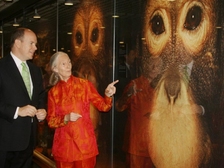 Jane Goodall 38