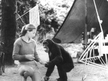 Jane Goodall 40