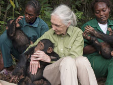 Jane Goodall 41