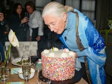 Jane Goodall 46