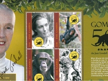 Jane Goodall 47