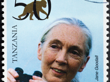 Jane Goodall 48