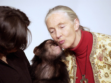 Jane Goodall 4