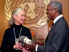 Jane Goodall 50