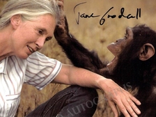 Jane Goodall 51