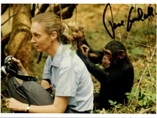 Jane Goodall 52