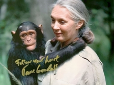 Jane Goodall 59