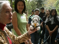 Jane Goodall 60