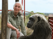 Jane Goodall 61