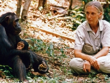 Jane Goodall 64