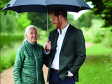Jane Goodall 65