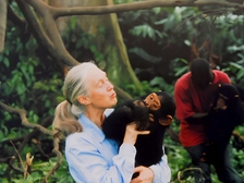 Jane Goodall 66