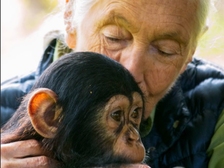 Jane Goodall 6