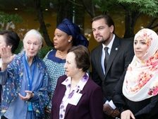 Jane Goodall 70