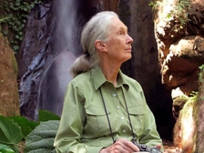 Jane Goodall 8