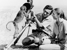 Jane Goodall 9