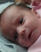 Jasmina-Maria Vajnberger