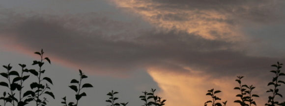 Stimmungsbild-Johanna-Köhler-3