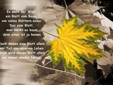 Jolanthe Kolodziej 1