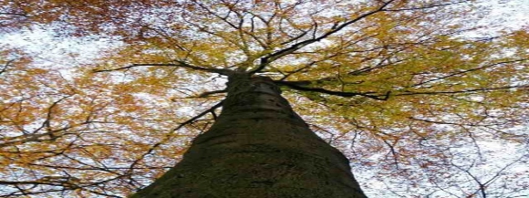 Stimmungsbild-Jürgen-Nölke-1