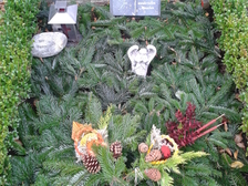 Julijana Wernicke 10