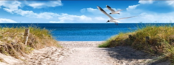 Stimmungsbild-Käte-Schulze-2