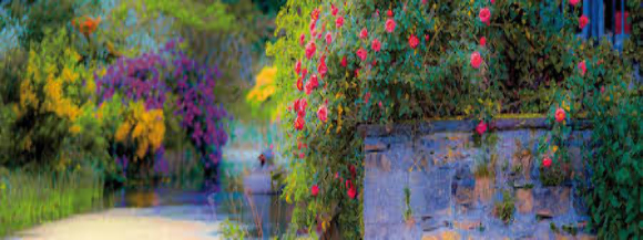 Stimmungsbild-Käthe-Kählig-38