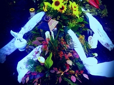 Karin Gollenstede 15