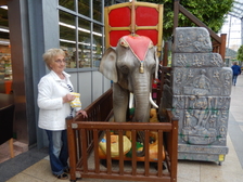 Karin Herdlitschka 176