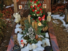 Karin Herdlitschka 515