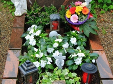 Karin Herdlitschka 531