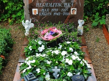 Karin Herdlitschka 537