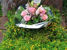 Karin Herdlitschka 588