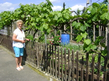 Karin Herdlitschka 97