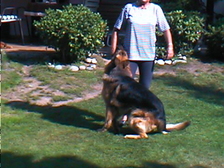 Karin Ute Gisela Werlisch 2