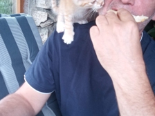 Karl Franz Gotschy 13