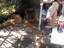 Karl Franz Gotschy 14