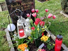 Karla Krause 84