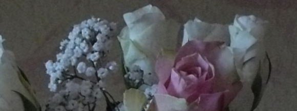 Stimmungsbild-Katharina-Krämer-2