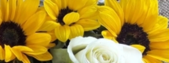 Stimmungsbild-Katrin-Zimmerl-1