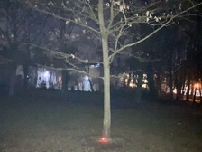 Kaufi Stephan Kaufmann 5