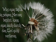 Kerstin Kuckeburg 20