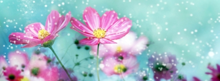 Stimmungsbild-Klaus-Schwarz-2