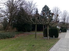 Kriegsopfer Weltkrieg 10