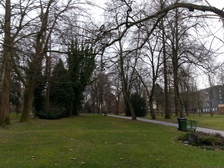 Kriegsopfer Weltkrieg 11