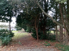 Kriegsopfer Weltkrieg 29