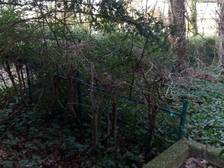 Kriegsopfer Weltkrieg 32