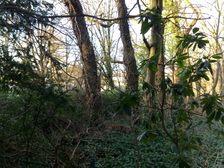 Kriegsopfer Weltkrieg 34