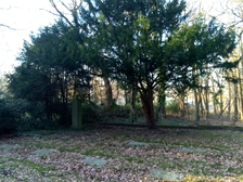 Kriegsopfer Weltkrieg 35