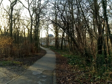 Kriegsopfer Weltkrieg 36